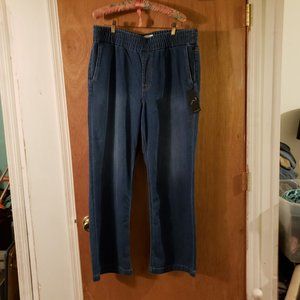 JEN7 BY 7 FOR ALL MANKIND The Traveler Pull-On High Waist Wide Leg Denim Pants